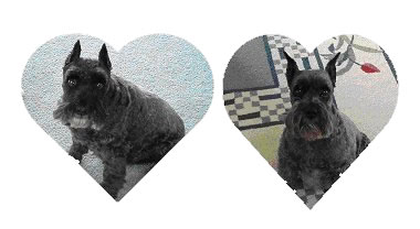 Zachary and Ebony
